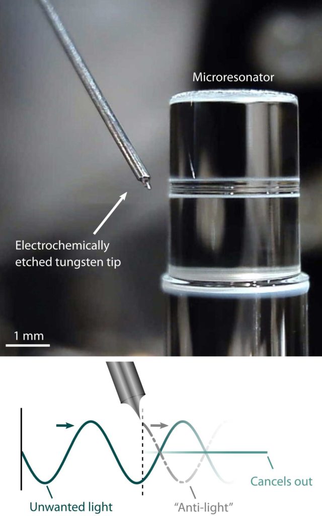An optical microresonator and a sharp tungsten tip