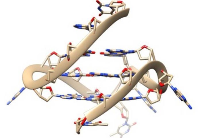 Quadruple-helix DNA