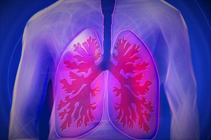 Scientists identified the violent physical processes at work inside the lungs