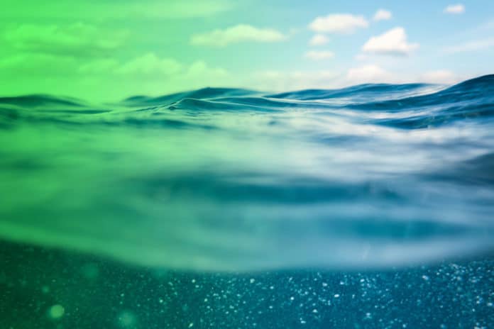 The ocean, a longtime reservoir for CFC-11, will become a source of the ozone-depleting chemical by middle of next century, a new MIT study finds