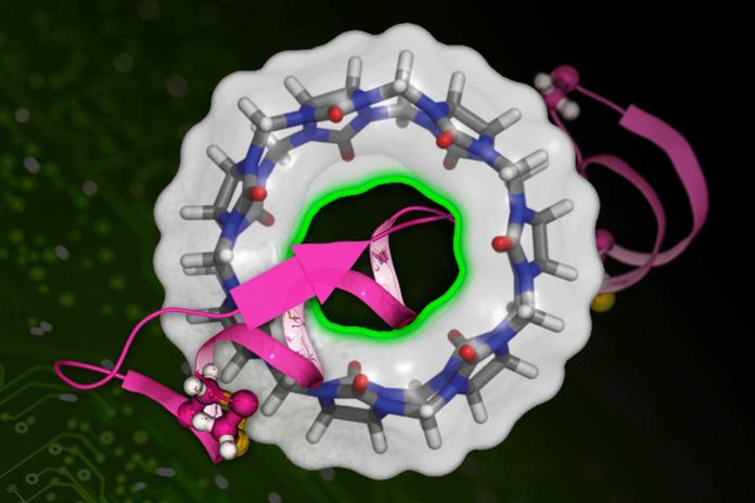 MIT researchers have developed a machine learning-based technique to more quickly calculate the binding affinity of a drug molecule (represented in pink) with a target protein (the circular structure)