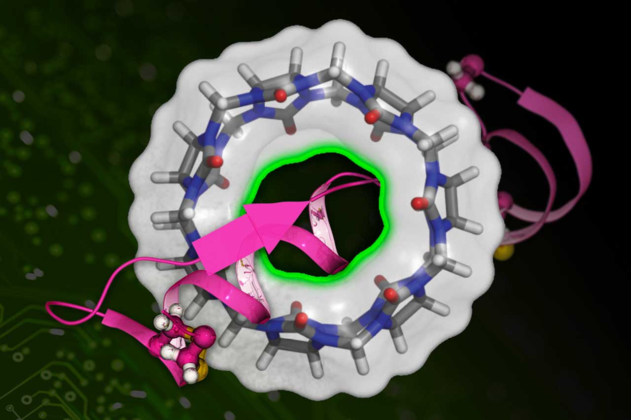 DeepBAR : 단백질에 대한 약물 분자의 결합 친화도를 빠르게 계산하는 새로운 기술