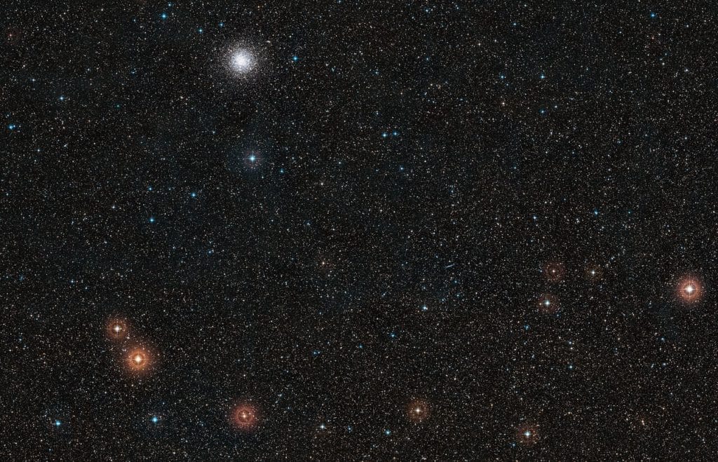 Wide-Field View of GJ 1132 b’s Host Star