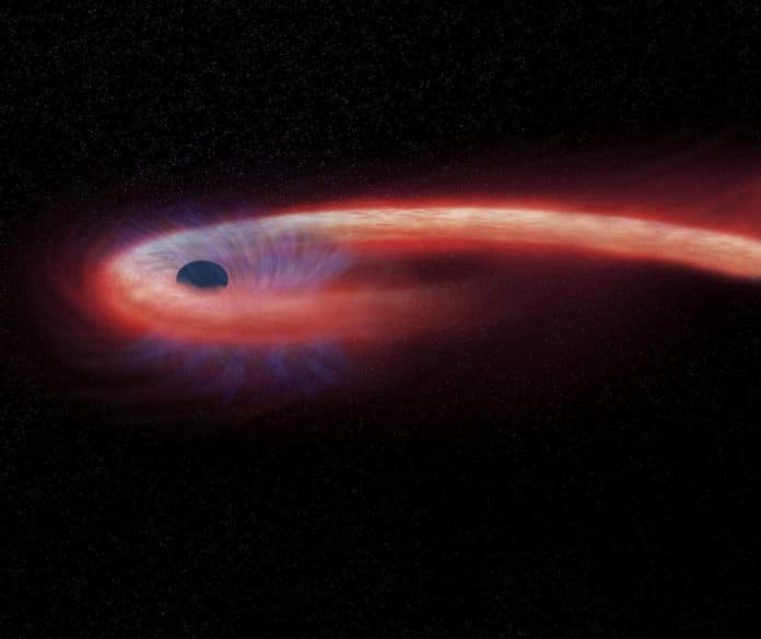 A black hole tears down a star