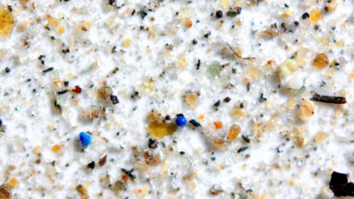 A blue microplastic bead