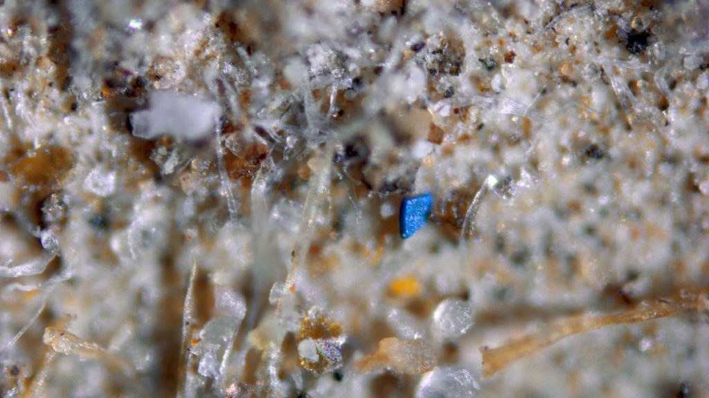 A blue microplastic shard