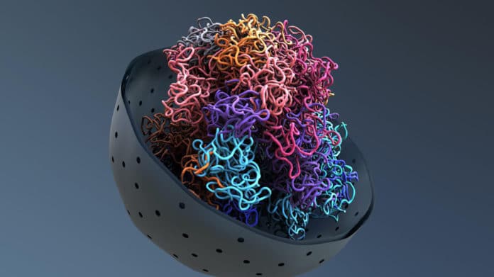 How cancer cells re-organize the 3D structure of their DNA?