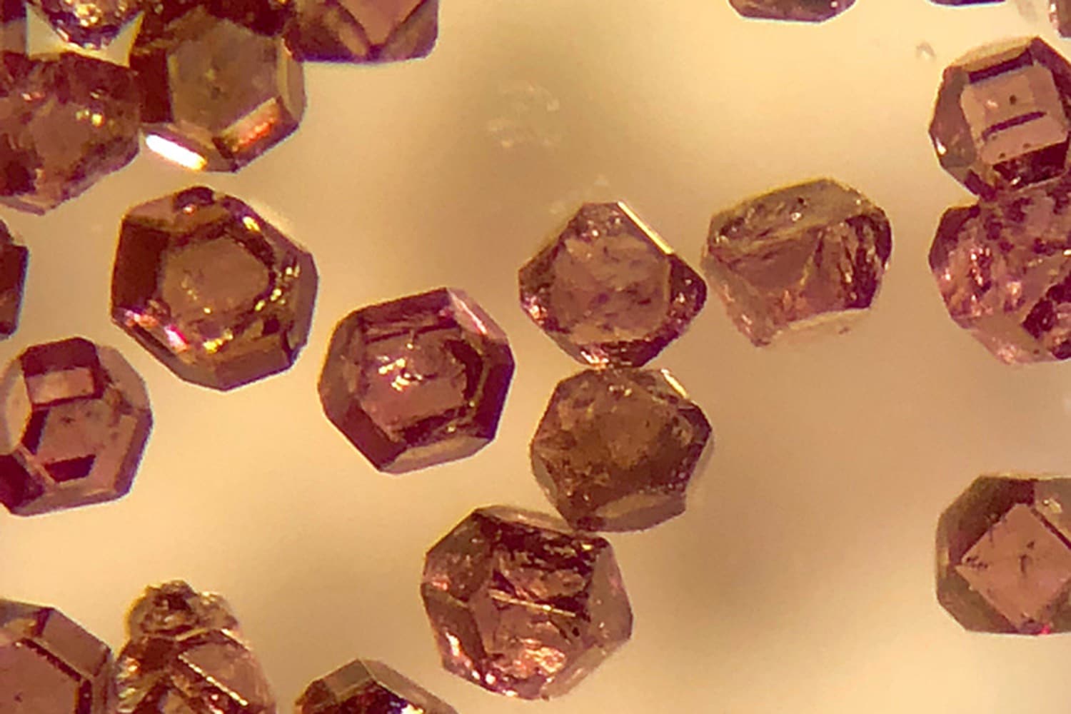The microdiamonds used as biological tracers are about 200 microns across, less than one-hundredth of an inch