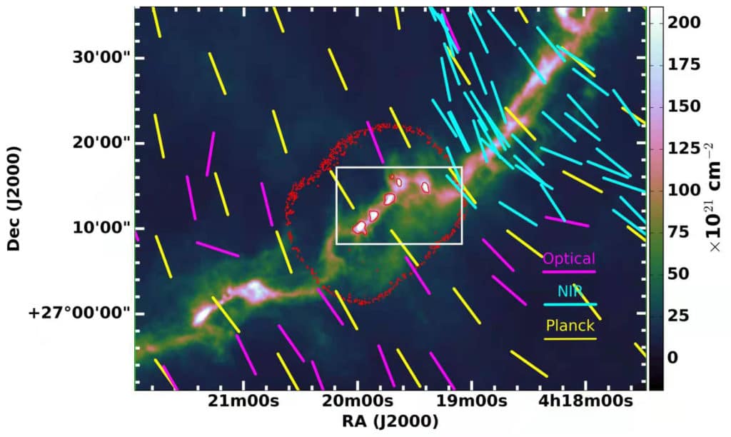 Large-scale, uniform magnetic field morphology of Taurus/B213 region, inferred based on multi-wavelength polarization data