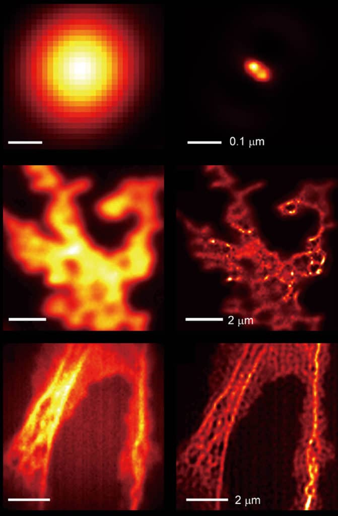 Comparison of images taken by a light microscope without the hyperbolic metamaterial