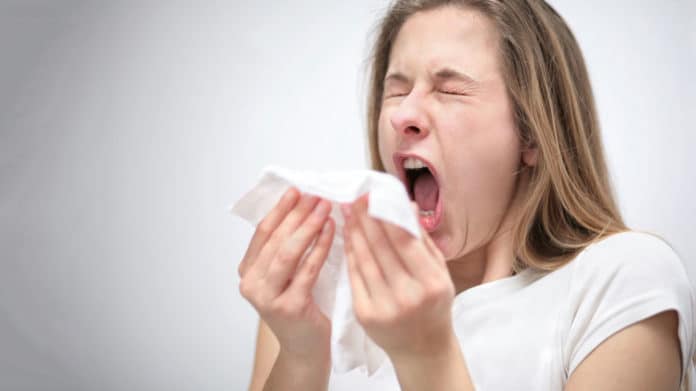 What makes us sneeze?
