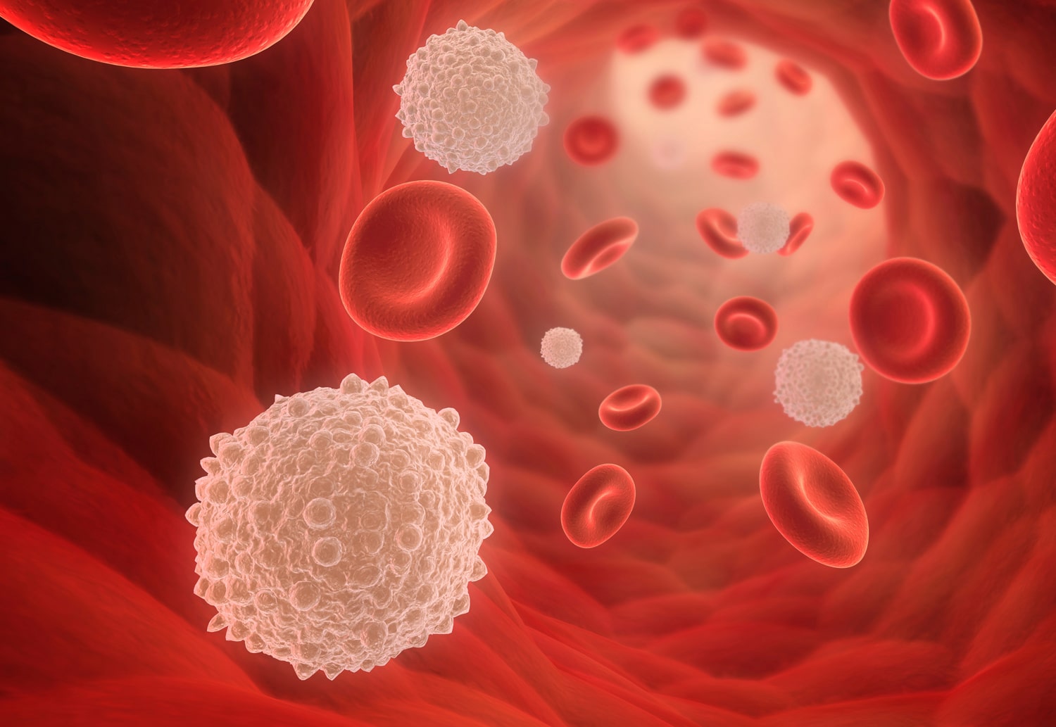 Кровь на б клетки. Лейкоциты это белые кровяные клетки. Кровяные тельца лейкоциты. Лейкоциты под микроскопом. Белые кровяные тельца под микроскопом.