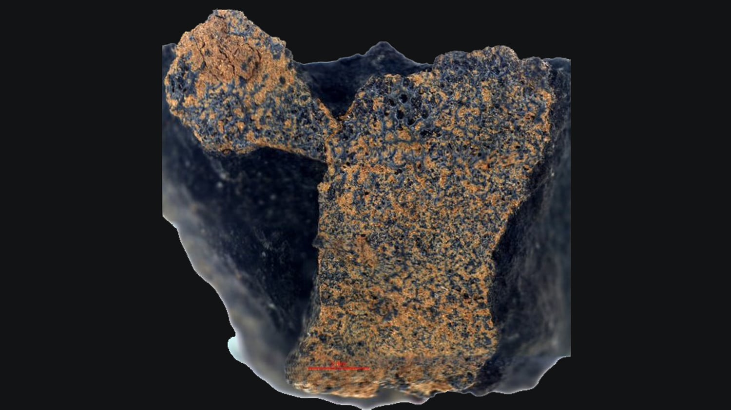 46억년 된 운석, 지구 생명체 기원 밝혀
