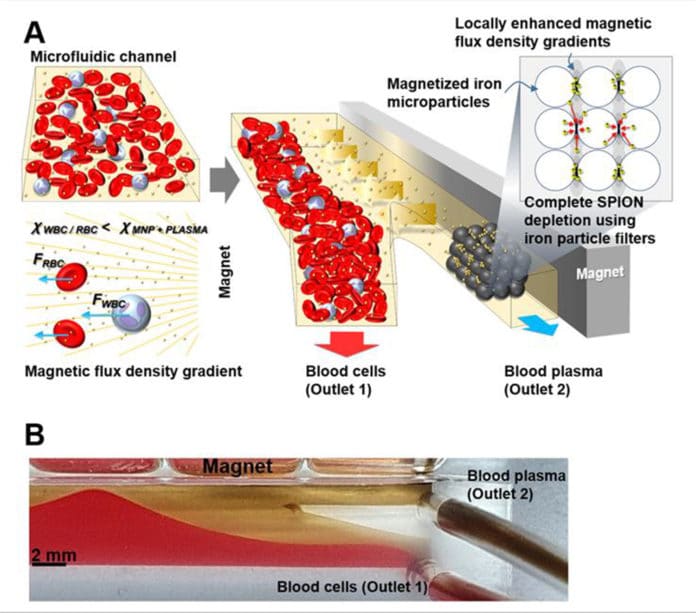 A schematic illustration of the microfluidic device for blood plasma separation using diamagnetic repulsion of blood cells.