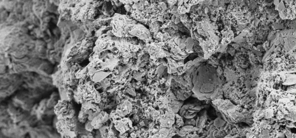 Imagen de electrones secundarios de un meteorito de condrita carbonosa que muestra estructuras diminutas en forma de hojas