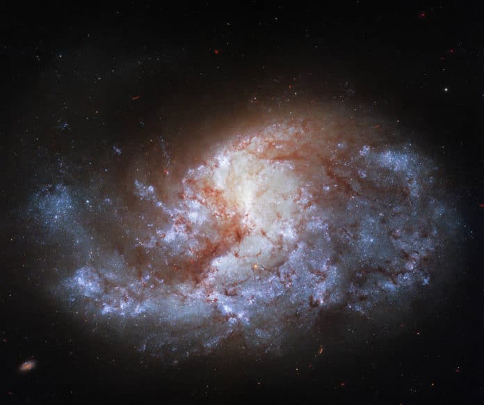 A galaxy in a ‘Furnace’