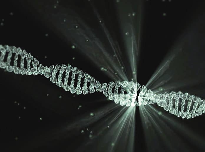 DNA data structure