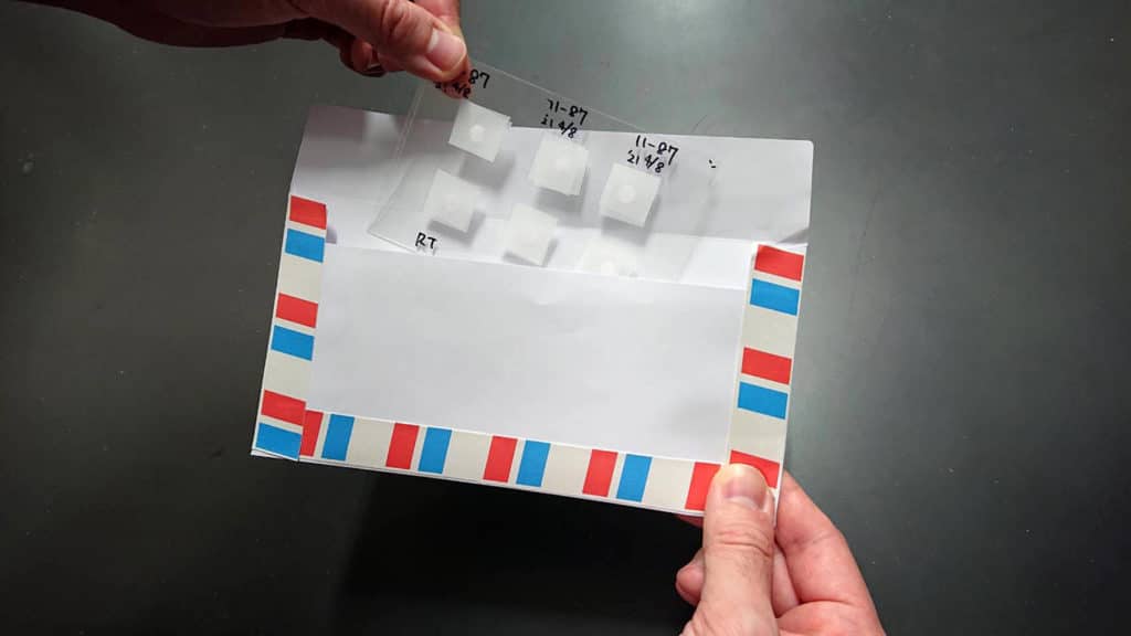 This photo shows how sperm sheets were put in the envelope