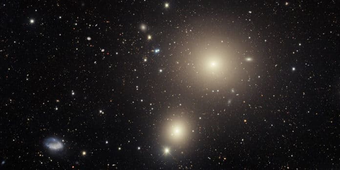 Galaxies in the Fornax Cluster