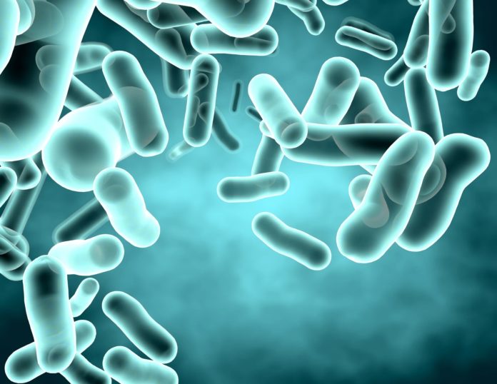 Depression, bipolar disorder, and anxiety share a common gut bacteria