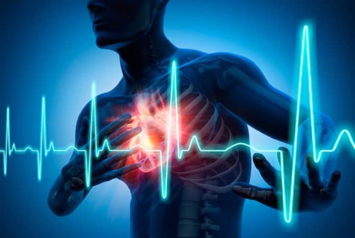 Stress hormone sensitivity could increase the risk of heart disease