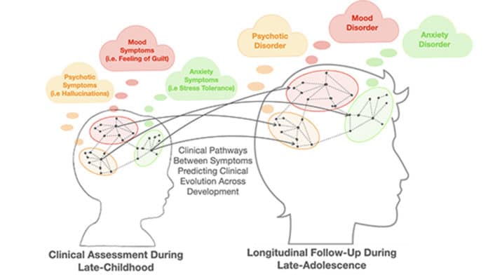 Schematic representation of longitudinal network analyses applied to developmental psychiatry