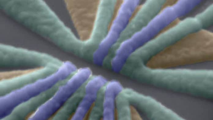 False-colored scanning electron micrograph of the device