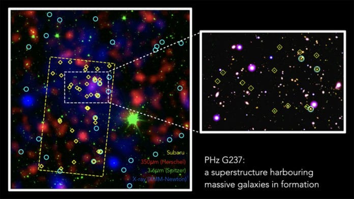 G237 protocluster