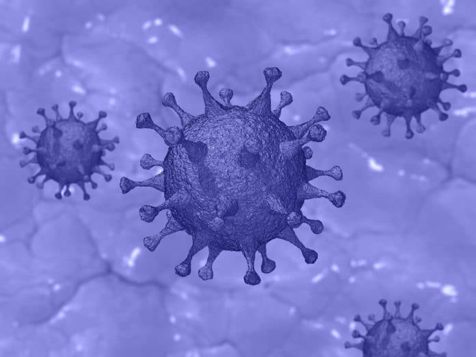 Image showing SARS-CoV-2 virus