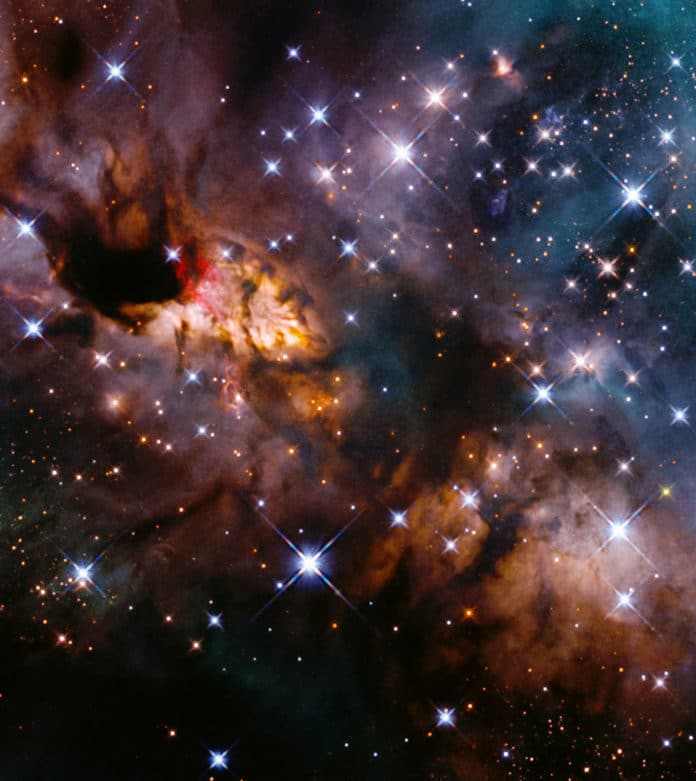 Prawn nebula