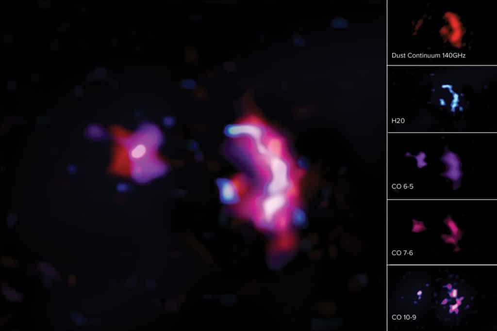 molecular lines and dust continuum seen in ALMA observations