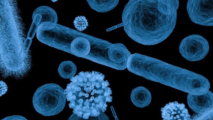 Image showing bacteria, cells etc