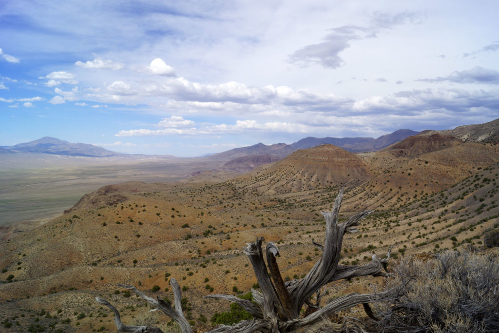 Owing to their remote location, fossils have only recently been discovered in the Augusta Mountains. An international team of scientists led by Dr. Sander began collecting on public lands there 30 years ago, with fossil finds being accessioned to the Natural History Museum of Los Angeles County (NHM), since 2008. Courtesy of Lars Schmitz.