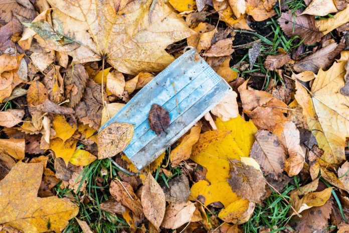 dirty used sanitary face mask in wet fallen leaves on lawn in city park in autumn