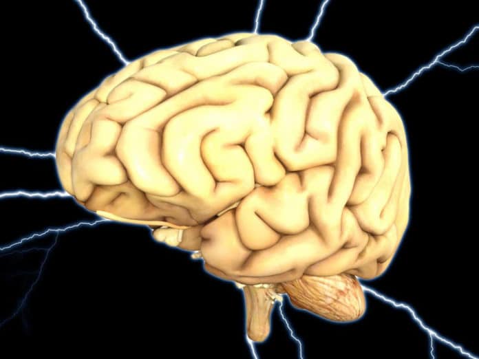 a link between the way that cells produce energy for brain function