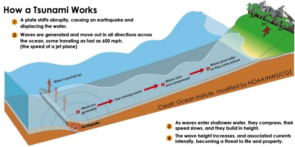 Graphic showing how a tsunami works