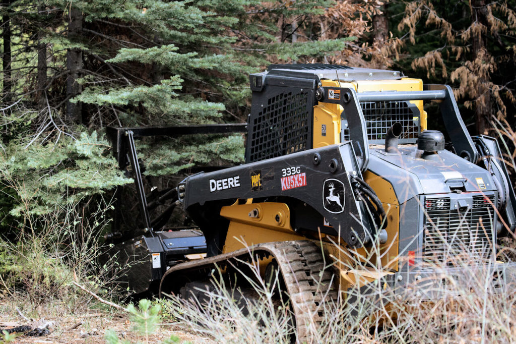 Using machines to manually remove small trees and underbrush poses fewer risks than prescribed burns, but often comes at a much higher cost. (UC Regents photo by Evett Kilmartin)