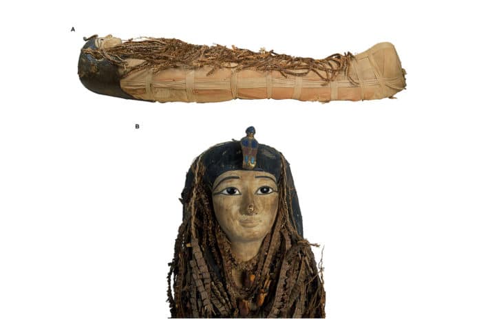 Picture of the mummy of Amenhotep I. (A) The picture of the right lateral view of the mummy of Amenhotep I shows the body fully wrapped in linen, covered from head to feet with floral garlands, and wearing a head mask. (B) Picture of the head mask of the mummy of Amenhotep I made of painted wood and cartonnage. The face is painted in faint yellow. The contour of the eyes and eyebrows is painted black. The eyes are inlaid with black pupils made of obsidian crystals. On the forehead is a separately carved painted cobra of painted wood, inlaid stones, and cartonnage. The rest of the head mask is partly hidden by floral garlands