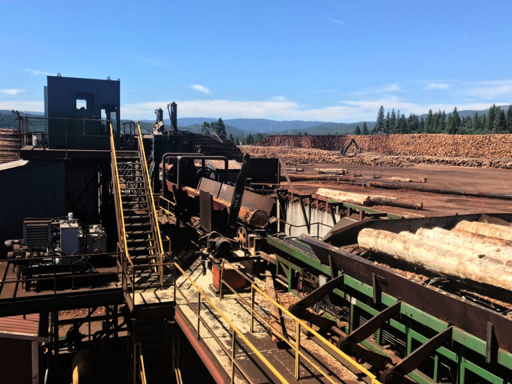 Unlike large timber, small trees cannot usually be sold to sawmills to recoup some of the cost of the forest thinning treatments. (UC Berkeley photo by Daniel Sanchez)