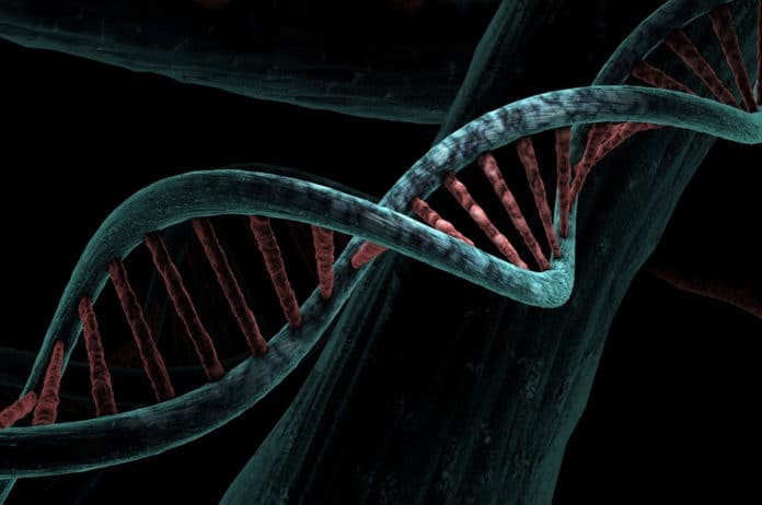 Image showing DNA