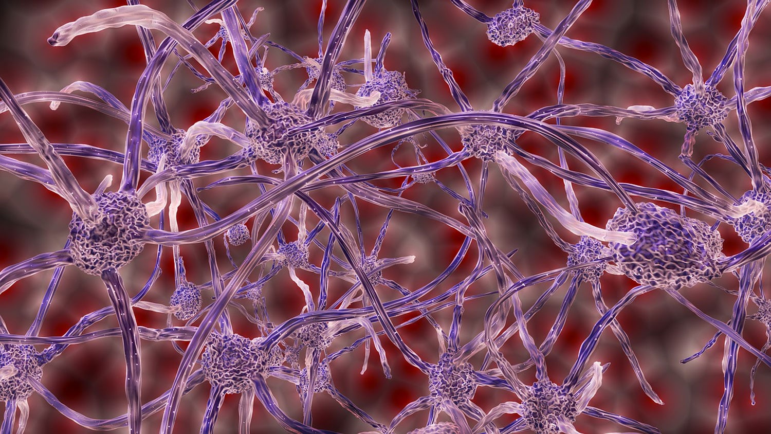 New AI model identifies genes responsible for motor neurone disease thumbnail