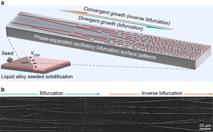 a, Schematic drawing of the seeded surface solidification and pattern formation process. b, Oscillatory bifurcation patterns form on the surface of solidified Ag-Ga alloy (scanning electron microscopy image).