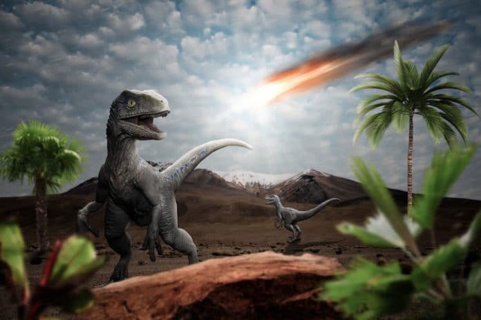 Image showing dinosaur killing asteroid
