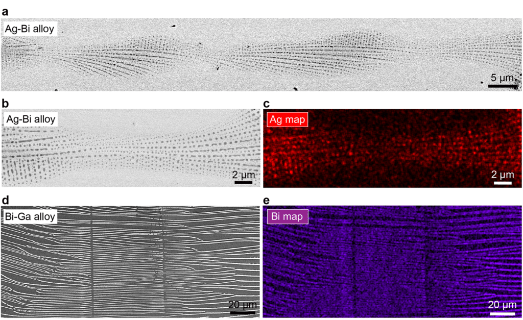Examples of oscillatory bifurcation patterns observed in (a-c) Ag-Bi alloys and (d,e) Bi-Ga alloys. Scanning electron microscopy images (a,b,d) and energy dispersive spectroscopy images (c,e).