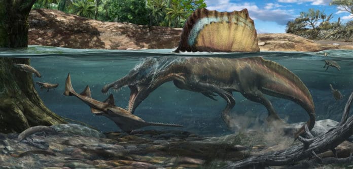 Illustration of the Spinosaurus