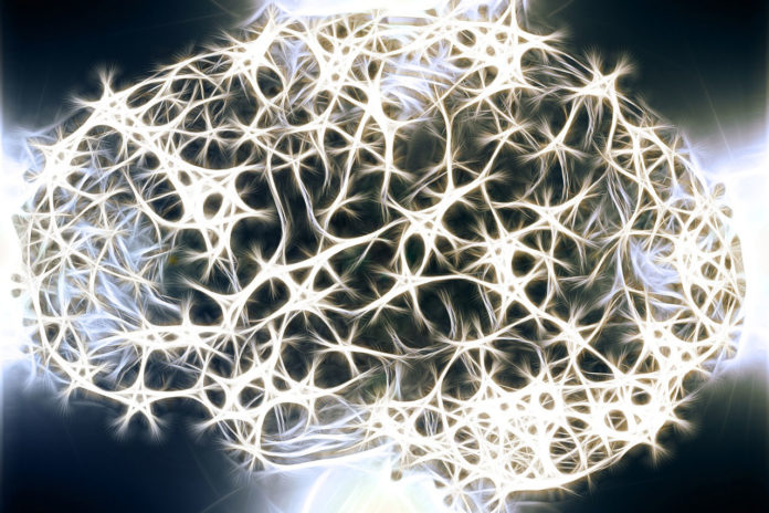 Image showing brain neurons