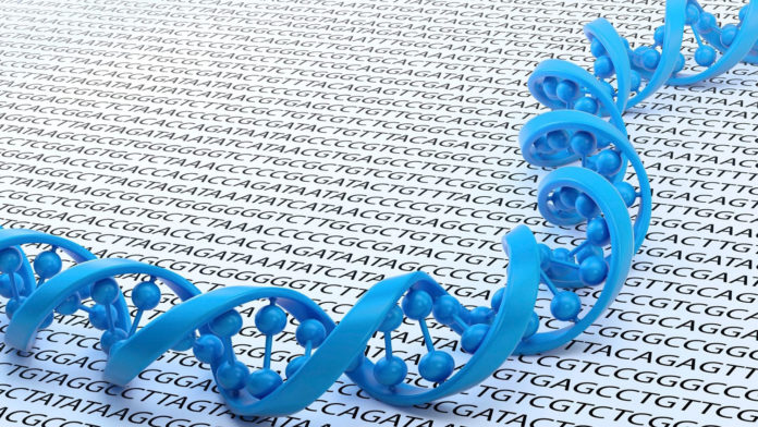 Image showing Human genome