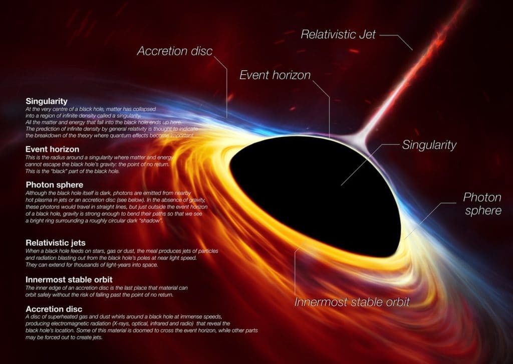 Anatomy of black hole