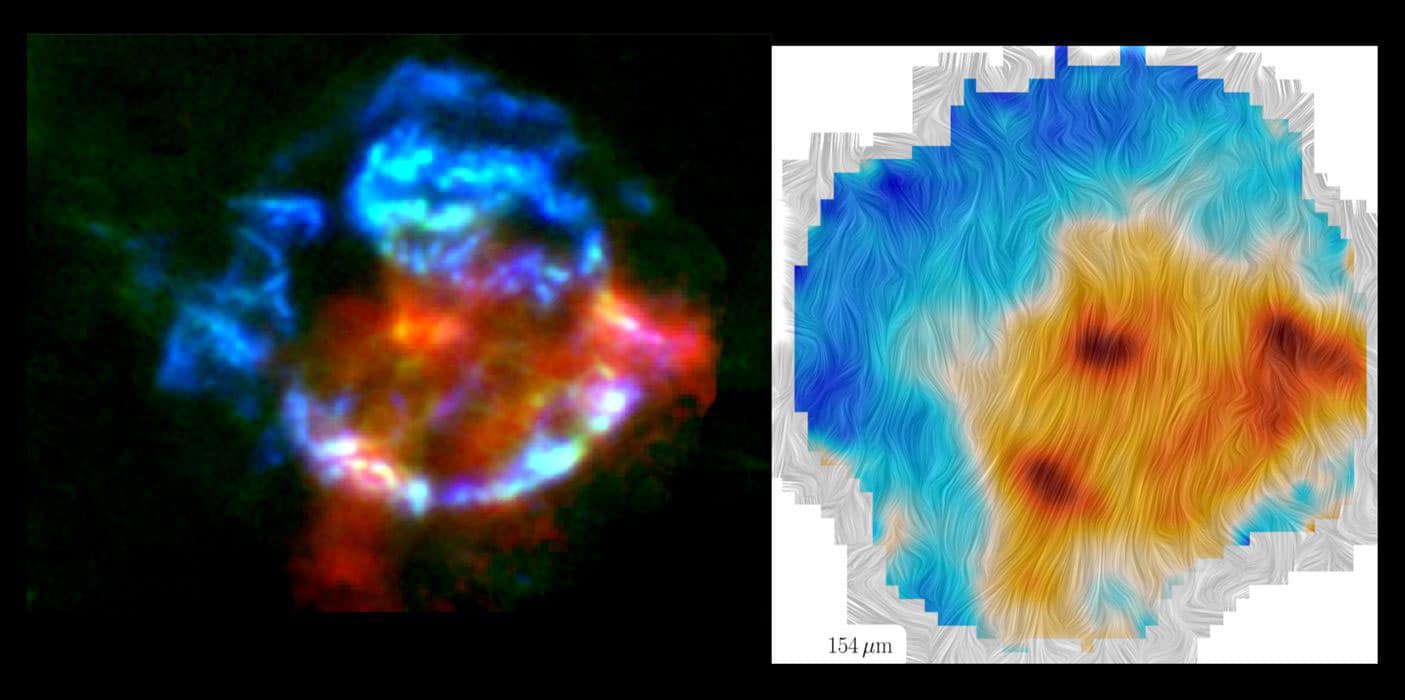 Pył supernowej zapewnia wgląd w powstawanie gwiazd