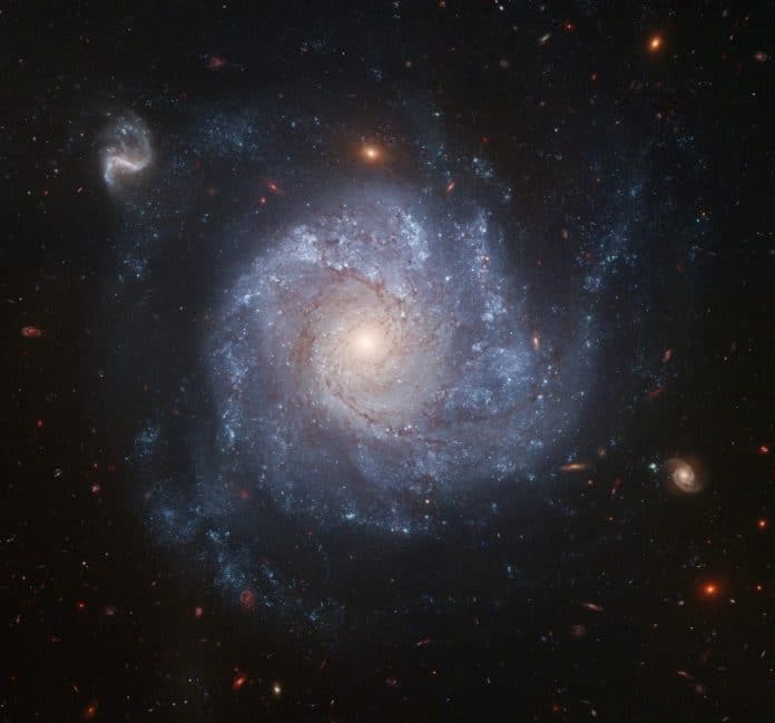 Galaxy NGC 1309